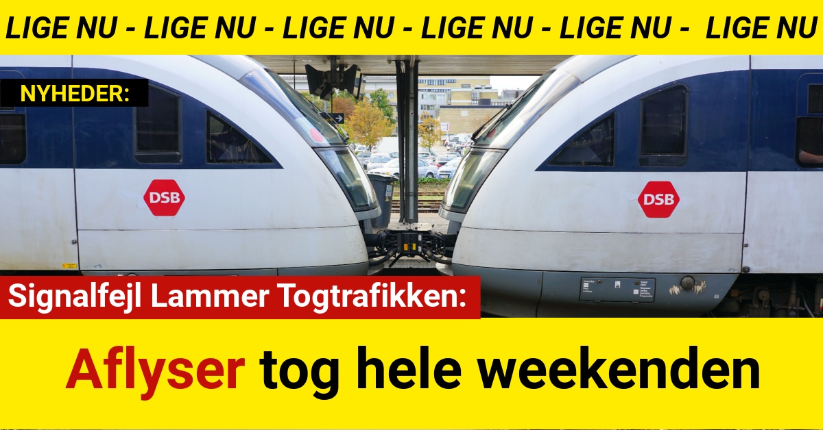 Signalfejl Lammer Togtrafikken: Aflyser tog hele weekenden