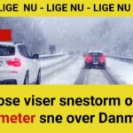 Prognose viser snestorm og 25 centimeter sne over Danmark