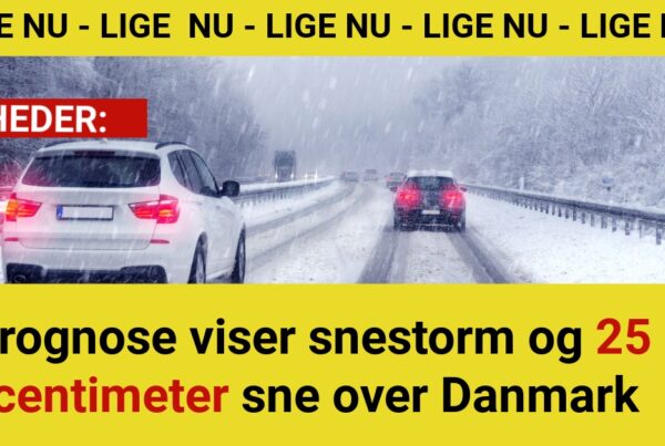 Prognose viser snestorm og 25 centimeter sne over Danmark