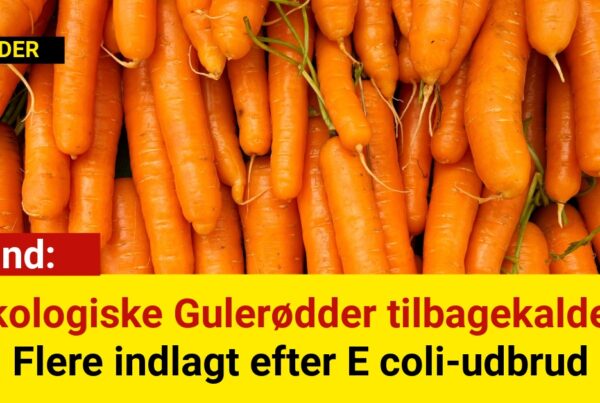 Økologiske Gulerødder tilbagekaldes: Flere indlagt efter E coli-udbrud