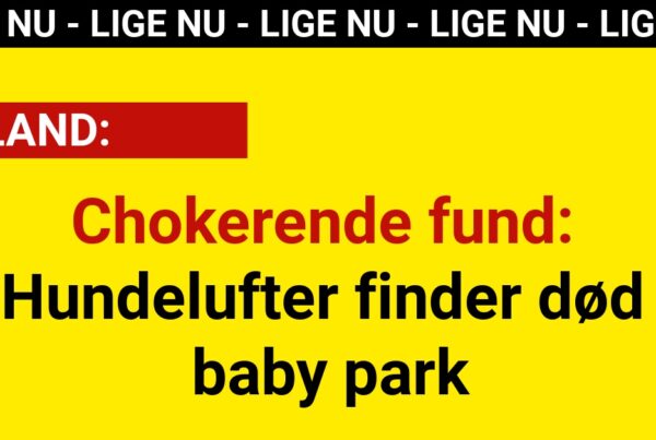 Chokerende fund: Hundelufter finder død baby park