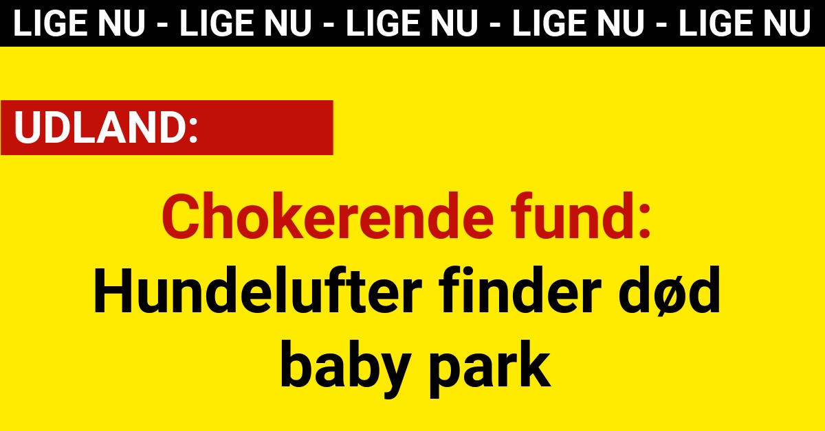 Chokerende fund: Hundelufter finder død baby park