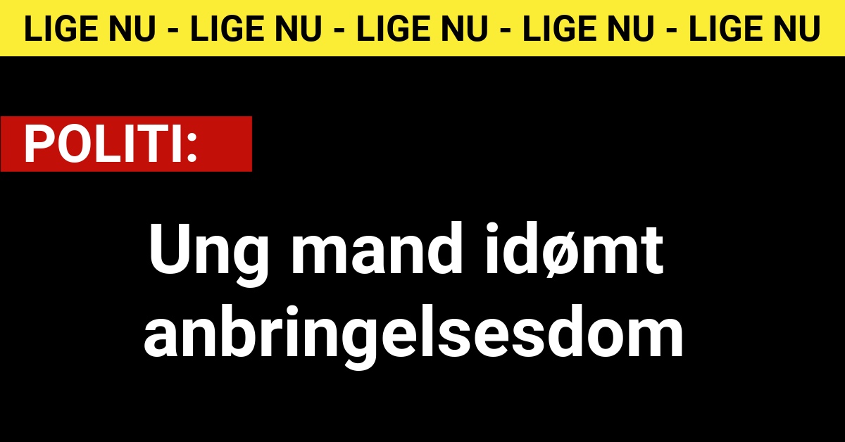 Ung mand idømt anbringelsesdom - Krimi