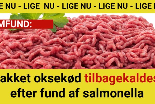 Hakket oksekød tilbagekaldes efter fund af salmonella