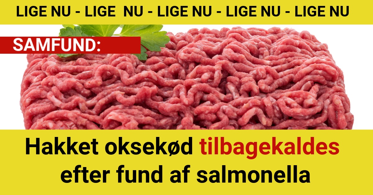 Hakket oksekød tilbagekaldes efter fund af salmonella