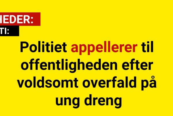 Politiet appellerer til offentligheden efter voldsomt overfald på ung dreng