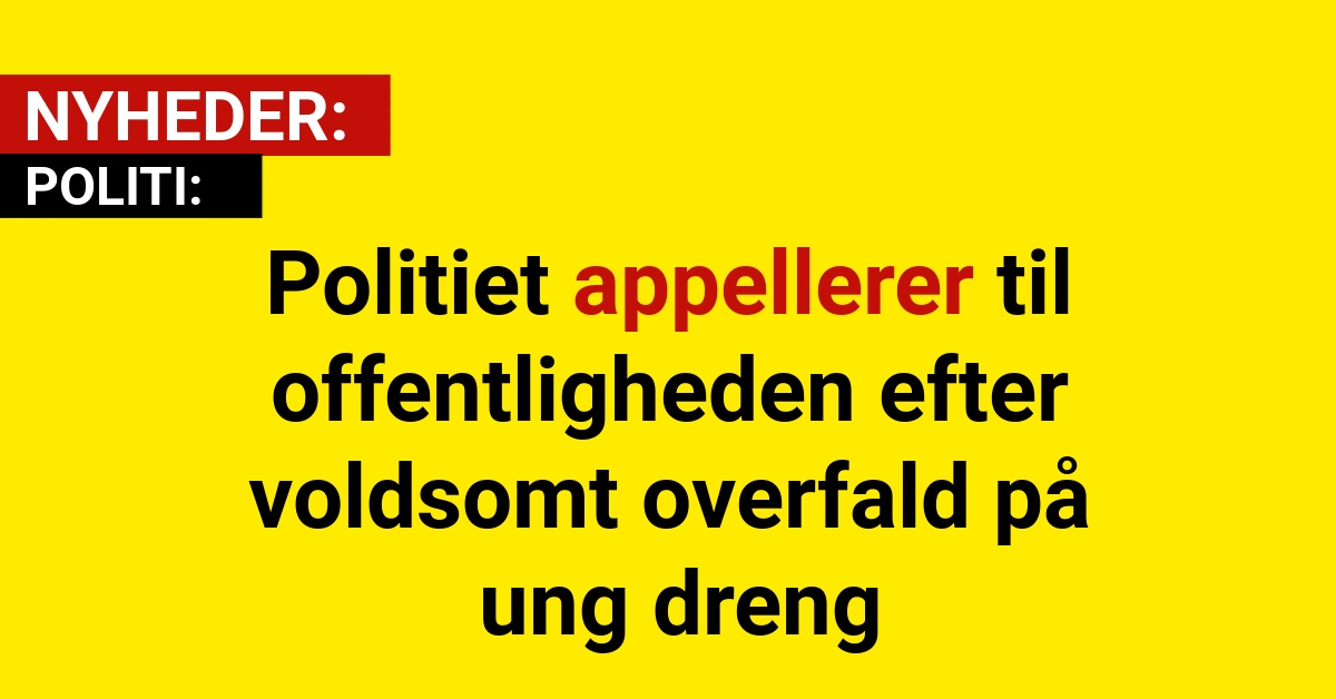 Politiet appellerer til offentligheden efter voldsomt overfald på ung dreng