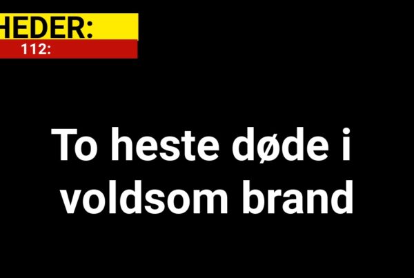 To heste døde i voldsom brand