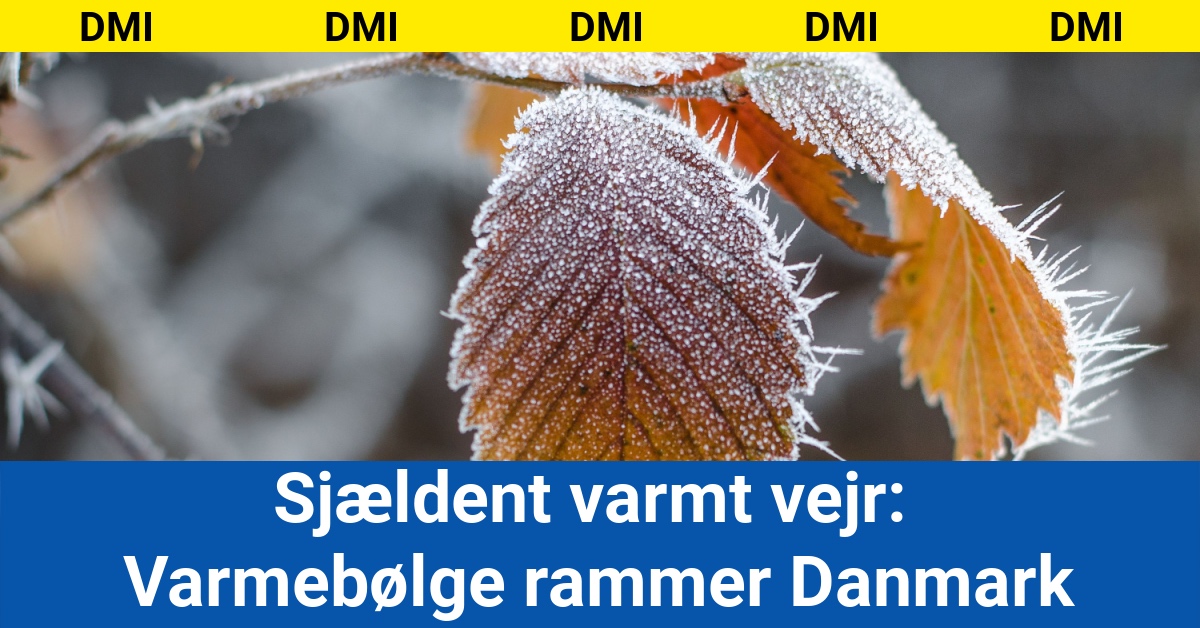 Sjældent varmt vejr: Varmebølge rammer Danmark