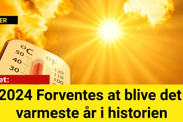 2024 Forventes at blive det varmeste år i historien