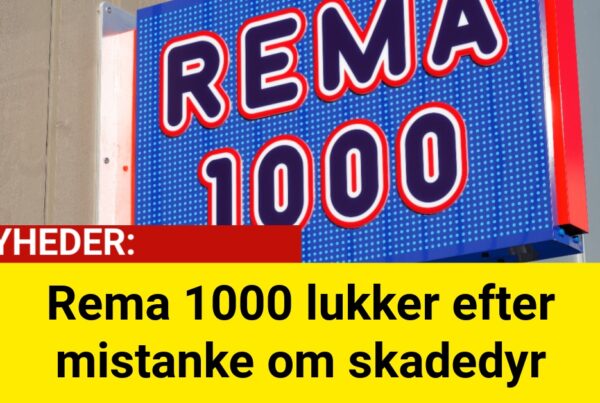 Rema 1000 lukker efter mistanke om skadedyr