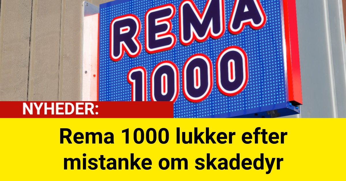 Rema 1000 lukker efter mistanke om skadedyr