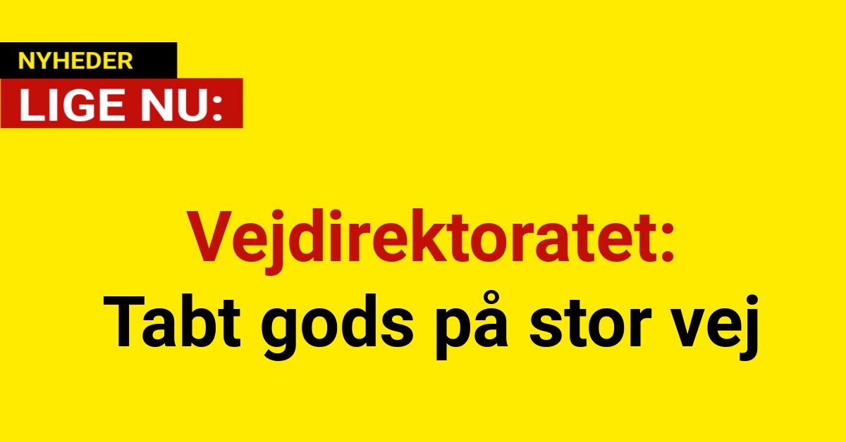 Vejdirektoratet: Tabt gods på stor vej