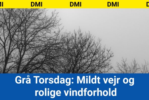 Grå Torsdag: Mildt vejr og rolige vindforhold