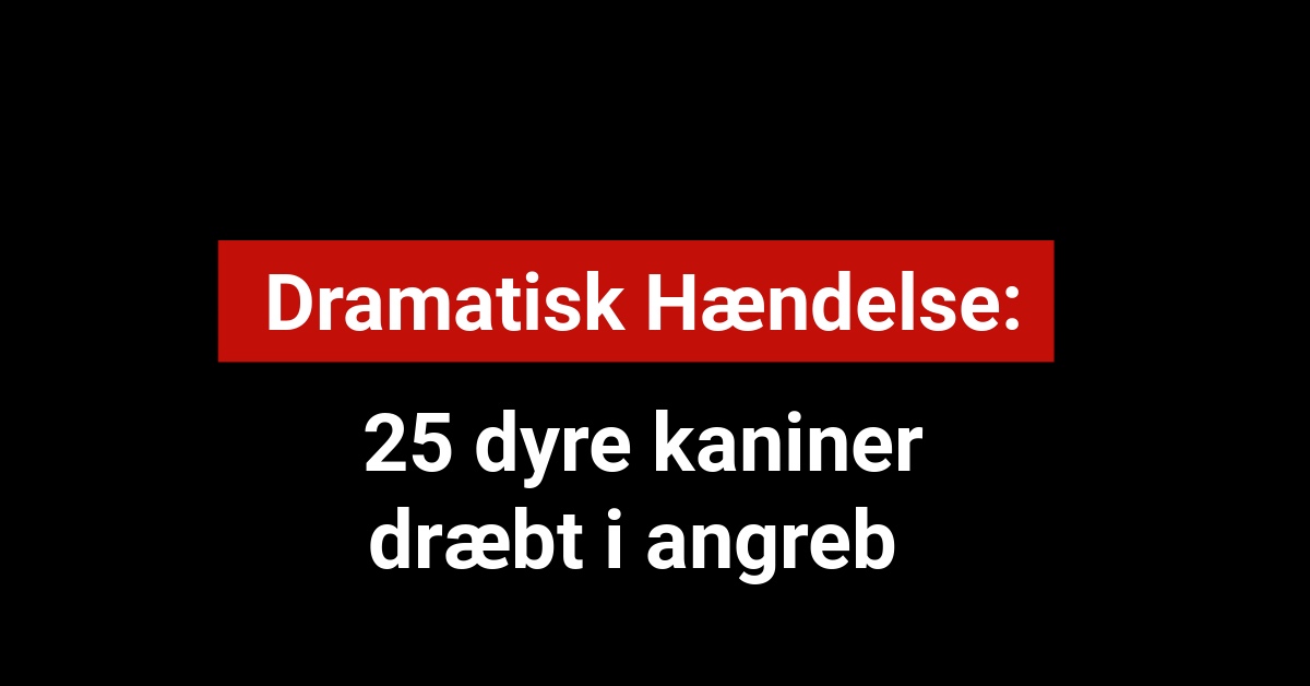 Dramatisk Hændelse: 25 dyre kaniner dræbt i angreb