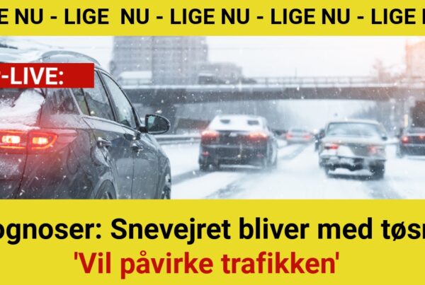 Prognoser: Snevejret bliver med tøsne - 'Vil påvirke trafikken'