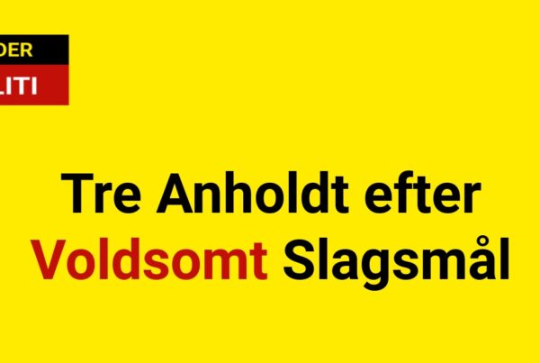 Tre Anholdt efter Voldsomt Slagsmål