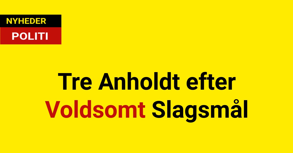 Tre Anholdt efter Voldsomt Slagsmål