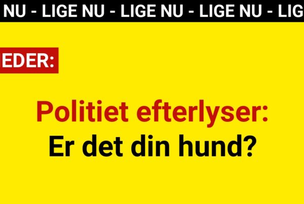 Politiet efterlyser: Er det din hund?