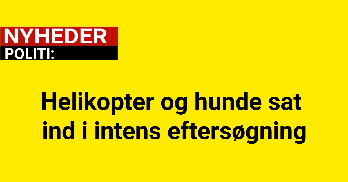 Helikopter og hunde sat ind i intens eftersøgning