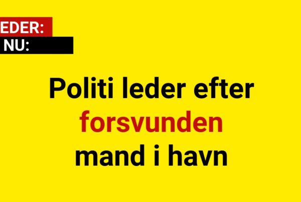 Politi leder efter forsvunden mand i havn