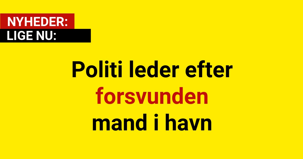 Politi leder efter forsvunden mand i havn