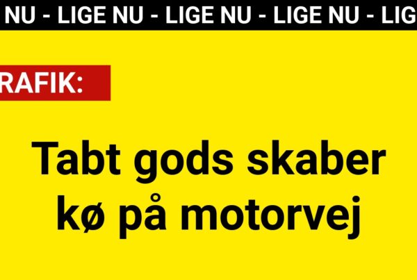 Tabt gods skaber kø på motorvej