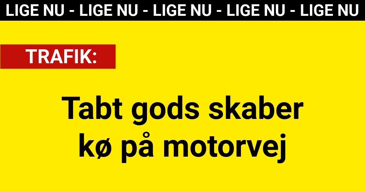 Tabt gods skaber kø på motorvej