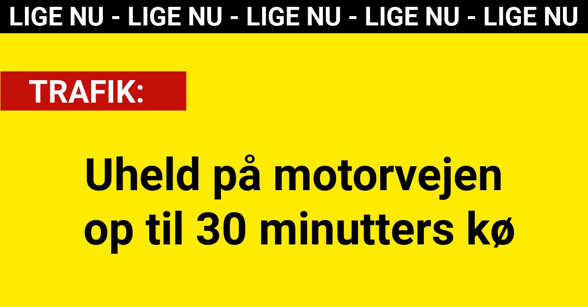 Uheld på motorvejen op til 30 minutters kø