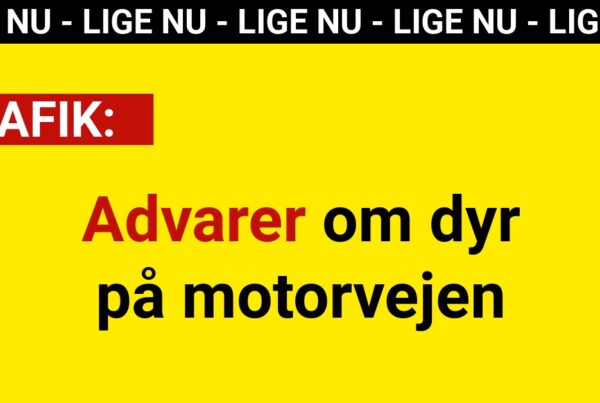 Advarer om dyr på motorvejen