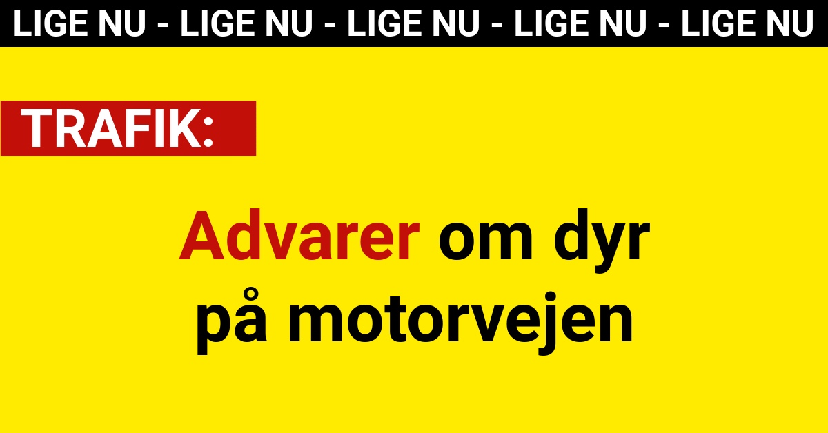 Advarer om dyr på motorvejen