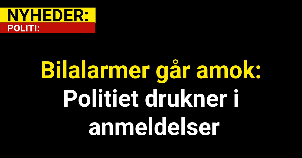 Bilalarmer går amok: Politiet drukner i anmeldelser