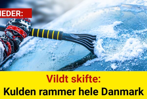 Vildt skifte: Kulden rammer hele Danmark