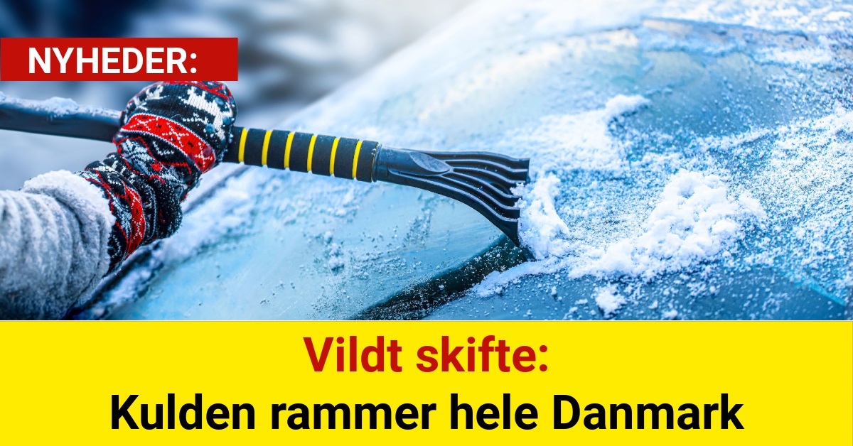 Vildt skifte: Kulden rammer hele Danmark