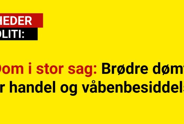 Dom i stor sag: Brødre dømt for handel og våbenbesiddelse