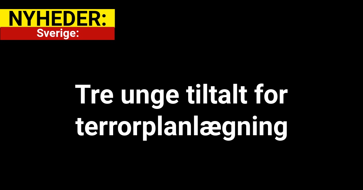 Sverige: Tre unge tiltalt for terrorplanlægning