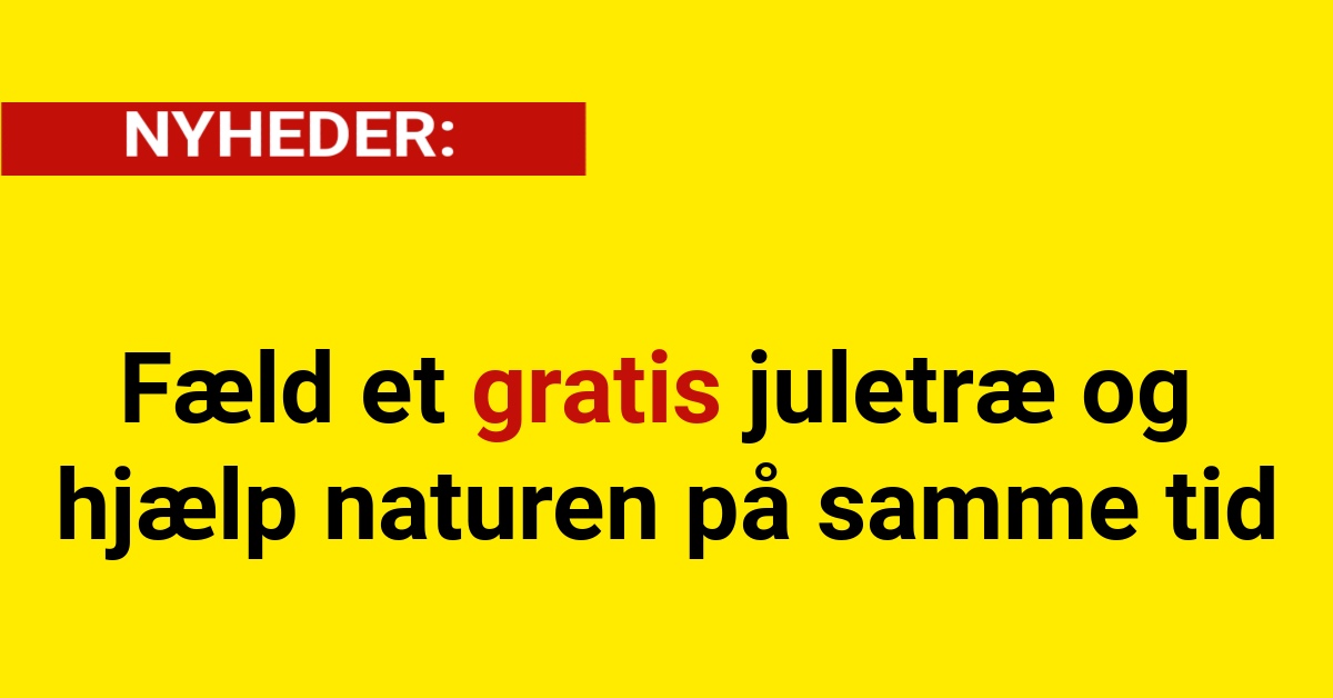 Fæld et gratis juletræ og hjælp naturen på samme tid