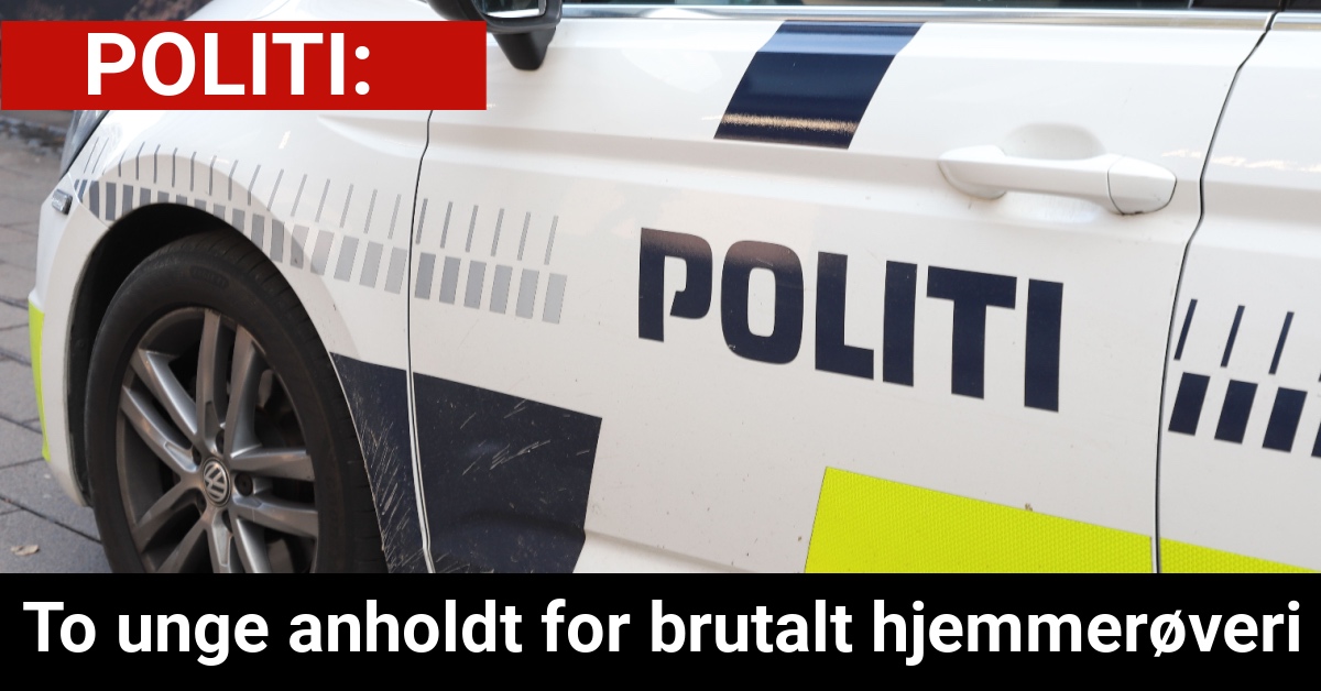 To unge anholdt for brutalt hjemmerøveri