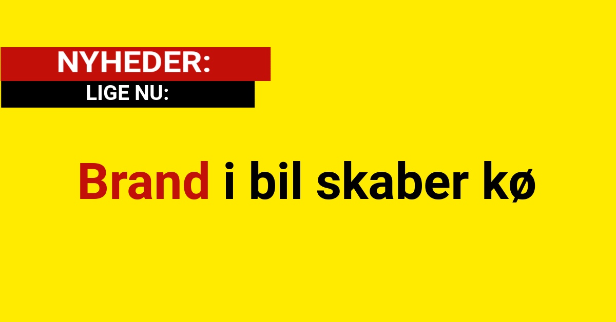 Brand i bil skaber kø