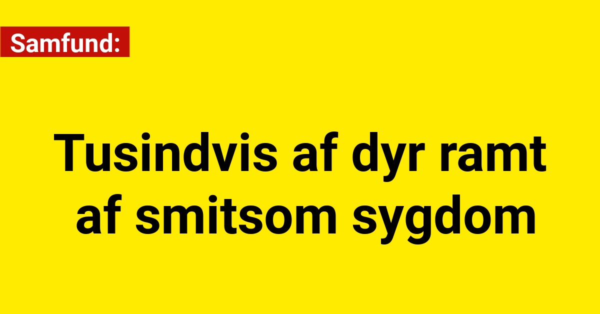 Tusindvis af dyr ramt af smitsom sygdom