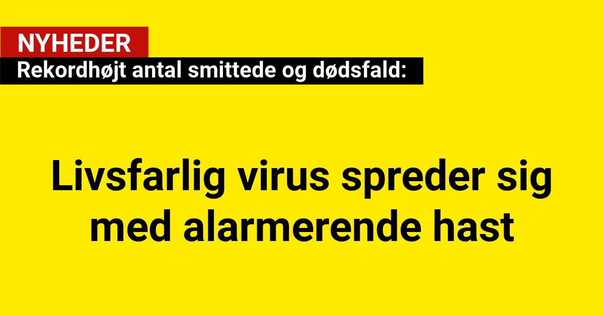 Rekordhøjt antal smittede og dødsfald