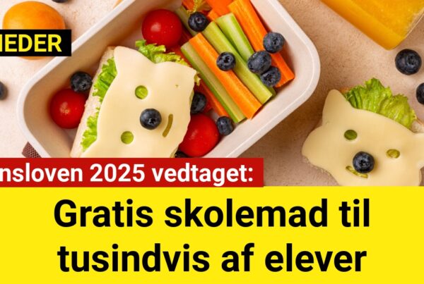 Finansloven 2025 vedtaget: Gratis skolemad til tusindvis af elever