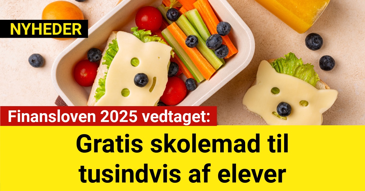 Finansloven 2025 vedtaget: Gratis skolemad til tusindvis af elever