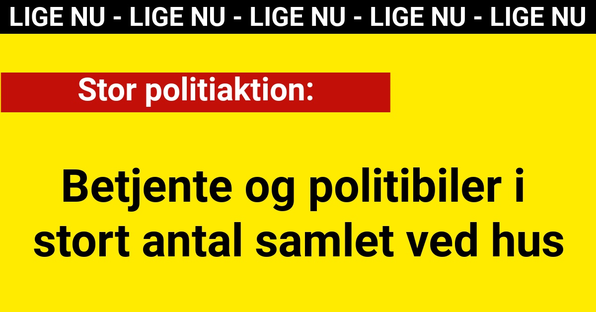 Stor politiaktion: Betjente og politibiler i stort antal samlet ved hus