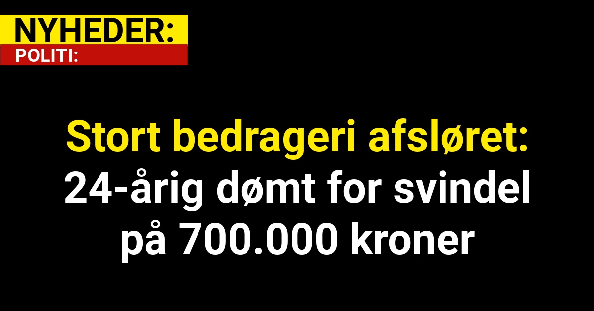 Stort bedrageri afsløret: 24-årig dømt for svindel på 700.000 kroner