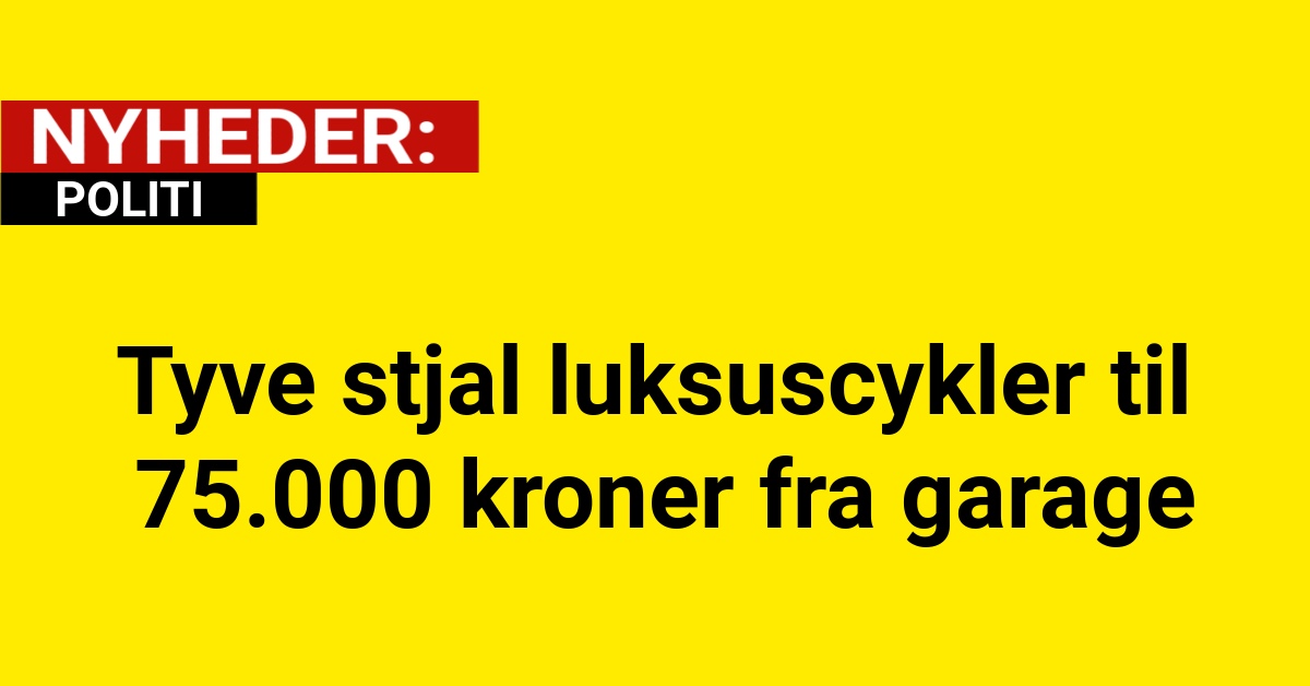 Tyve stjal luksuscykler til 75.000 kroner fra garage