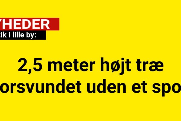 Mystik i lille by: 2,5 meter højt træ forsvundet uden et spor
