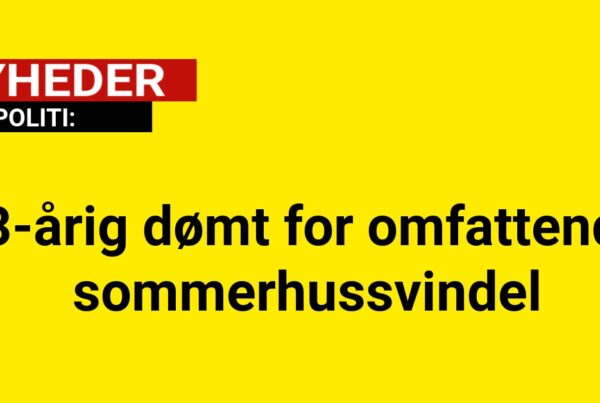 33-årig dømt for omfattende sommerhussvindel
