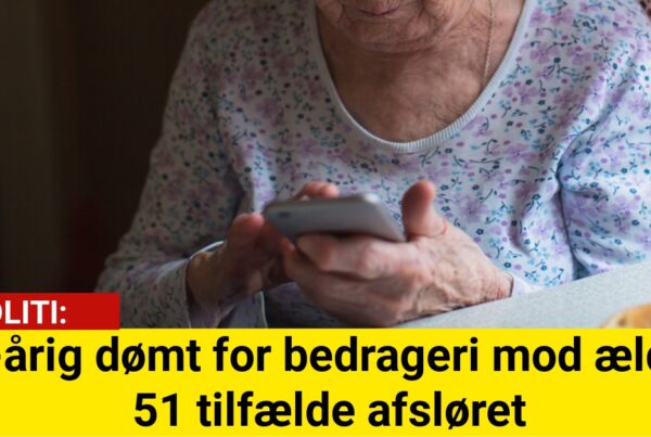 28-årig dømt for bedrageri mod ældre: 51 tilfælde afsløret