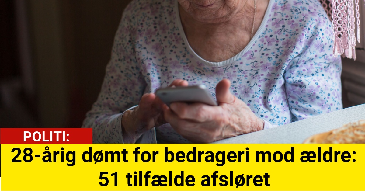 28-årig dømt for bedrageri mod ældre: 51 tilfælde afsløret